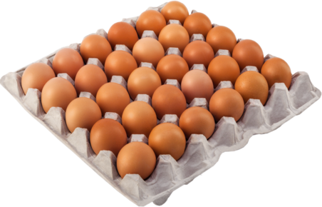 Eggs CARAVAN GROUP