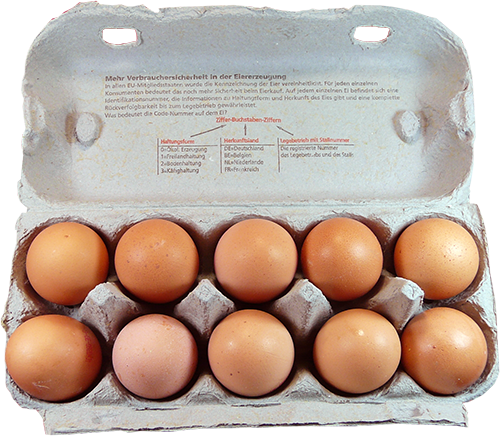 Eggs CARAVAN GROUP